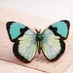Blue Butterfly Brooch, wooden butterfly brooch, butterfly jewelry, statement jewelry