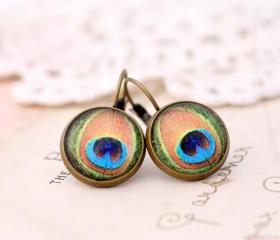 Jewel tone peacock drop earrings, peacock dangle earrings, colorful earrings, boho jewelry