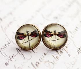 Purple Dragonfly earrings, steampunk earrings, glass dome earrings, nature jewelry, Victorian