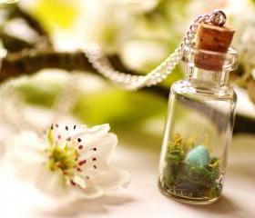 Birds nest necklace, miniature bottle necklace, terrarium necklace, robins egg blue, nature jewelry