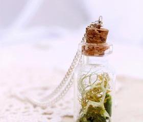 Botanical specimen necklace, botanical jewelry, miniature terrarium, woodland wedding, Irish jewelry