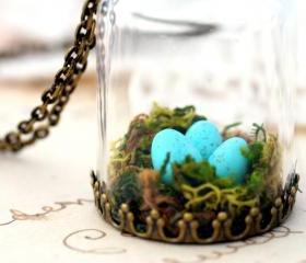 Moss terrarium pendant, birds nest necklace, robins nest necklace, terrarium jewelry