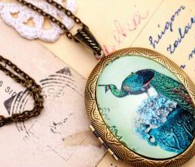 Peacock locket pendant, bird locket necklace, blue green necklace, peacock feather pendant, glass picture locket, long bronze locket